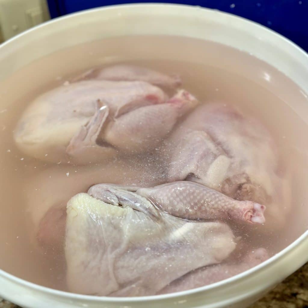 Brining Cornish game hens in salt water.