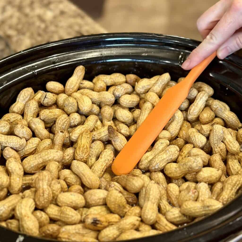 Mixing together boiled peanuts in a crockpot.