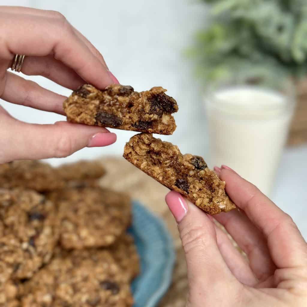 a cross section of an oatmeal raisin cookie