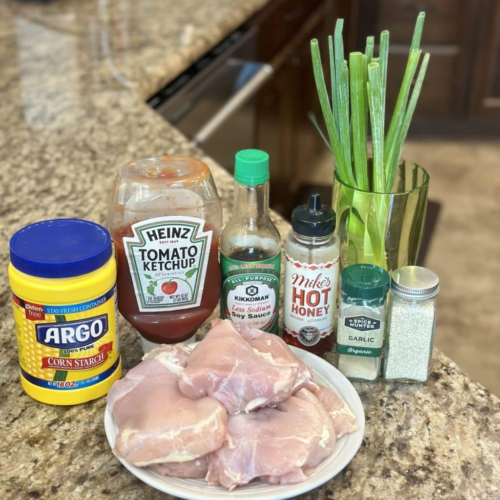 The ingredients needed to make honey garlic chicken: chicken, cornstarch, ketchup, soy sauce, honey, garlic powder, sesame seeds and green onions.