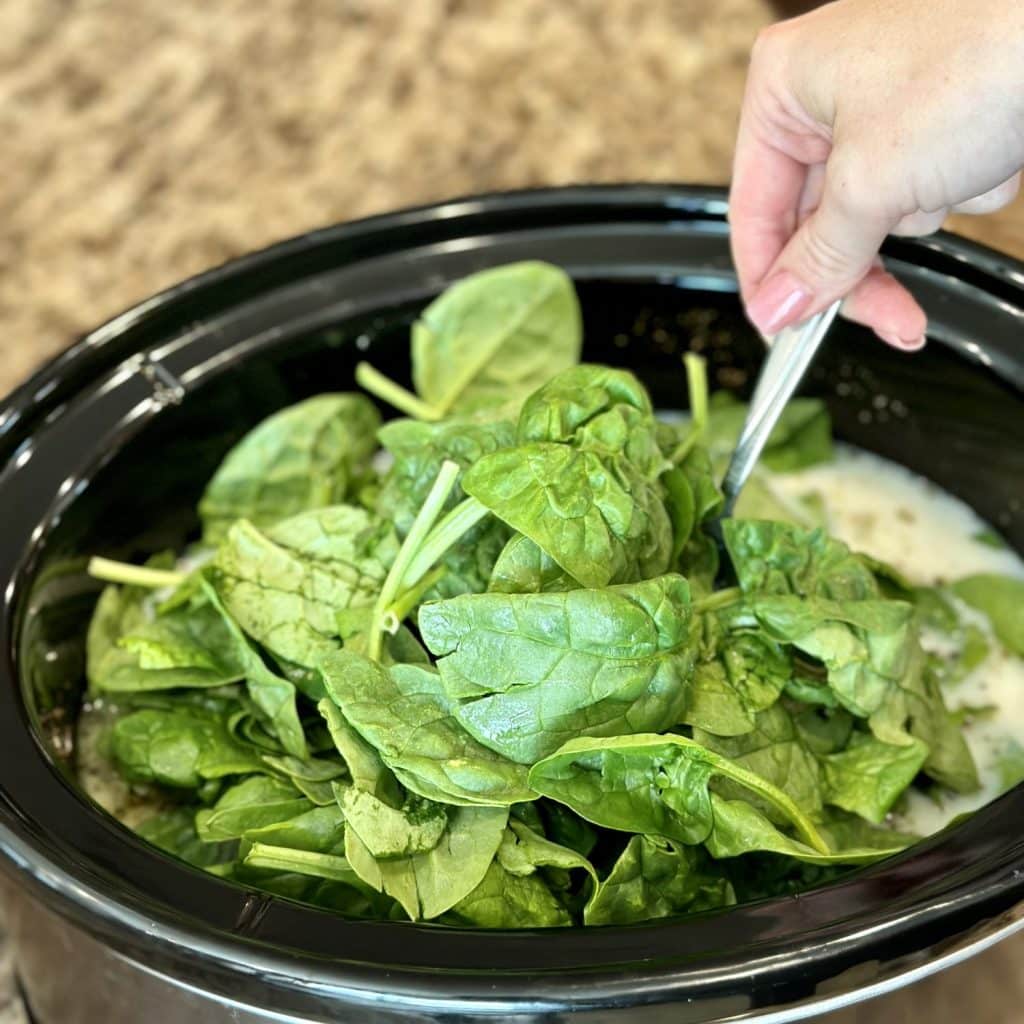 Adding spinach to a soup base in a crockpot.