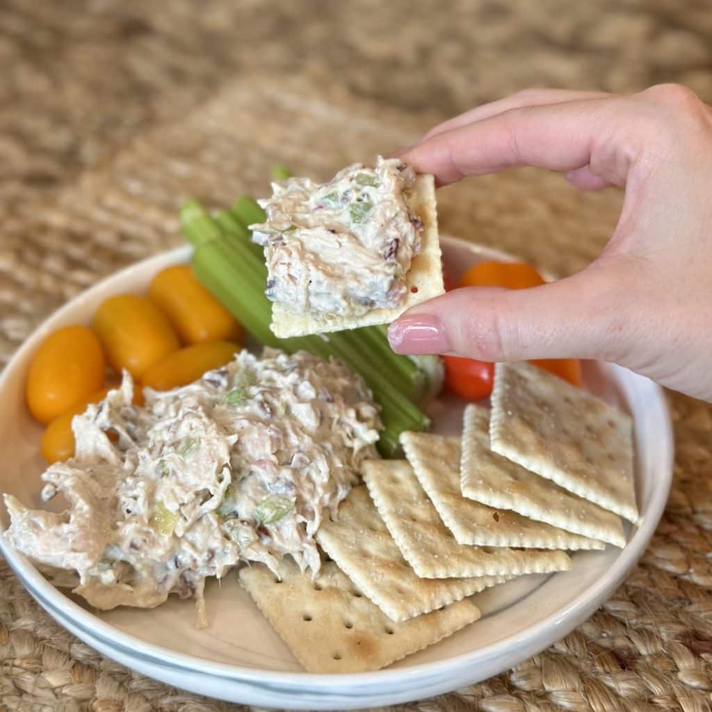 A plate of chicken salad, crackers and veggies.