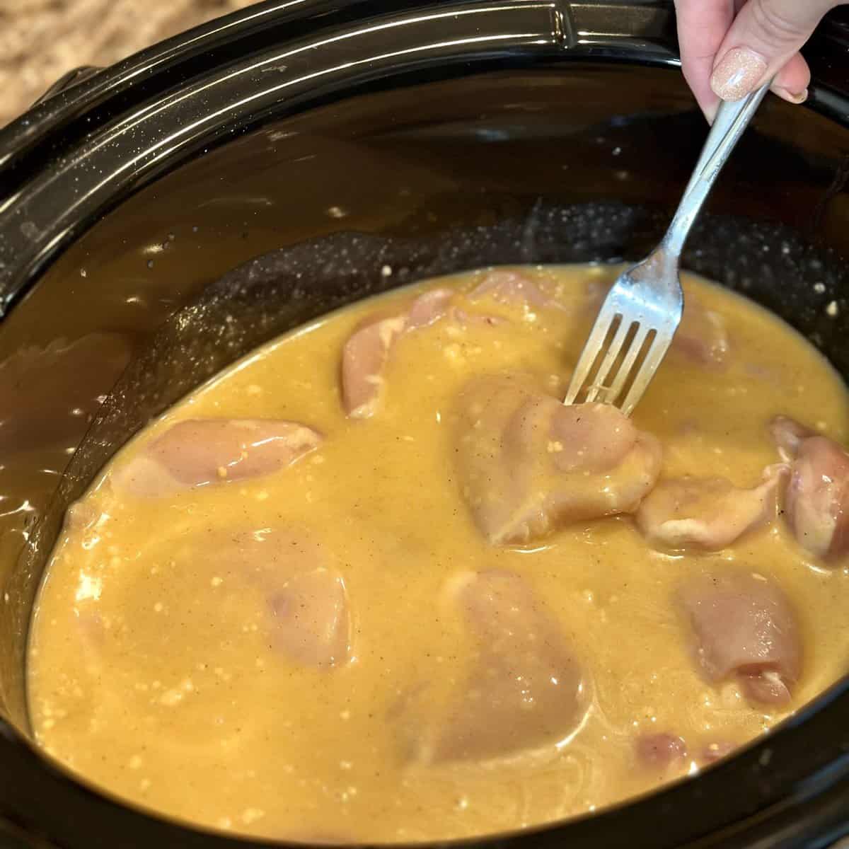 Crockpot Chicken and Gravy Dinner in 321