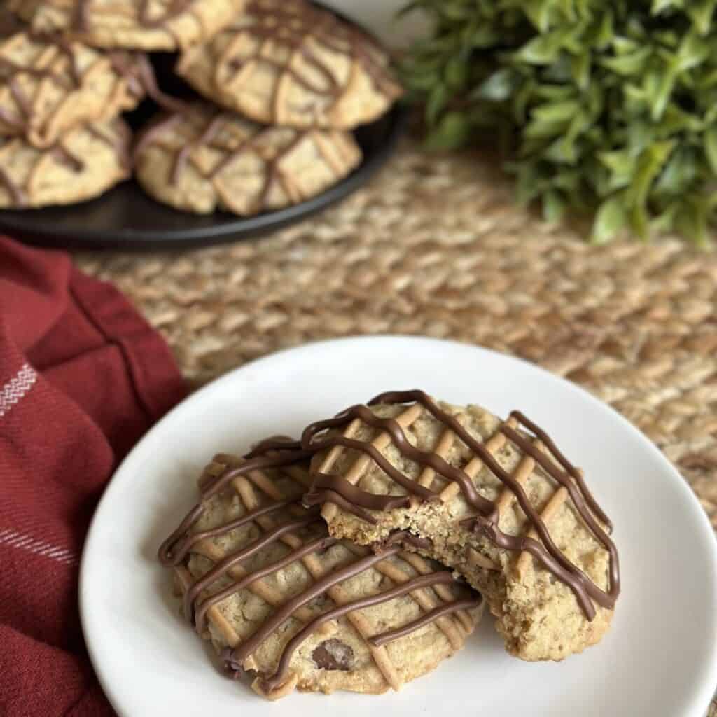 Two oatmeal cookies on a saucer.