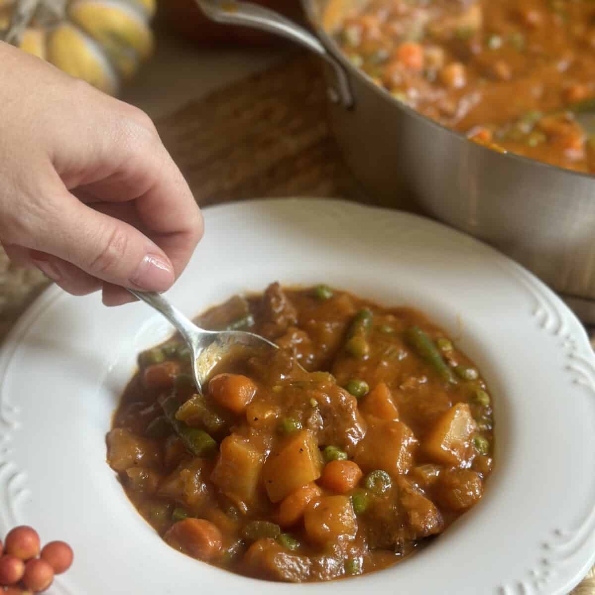 Old Fashioned Vegetable Beef Soup - Dinner in 321