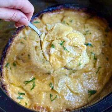 A spoonful of crock pot scalloped Potatoes.