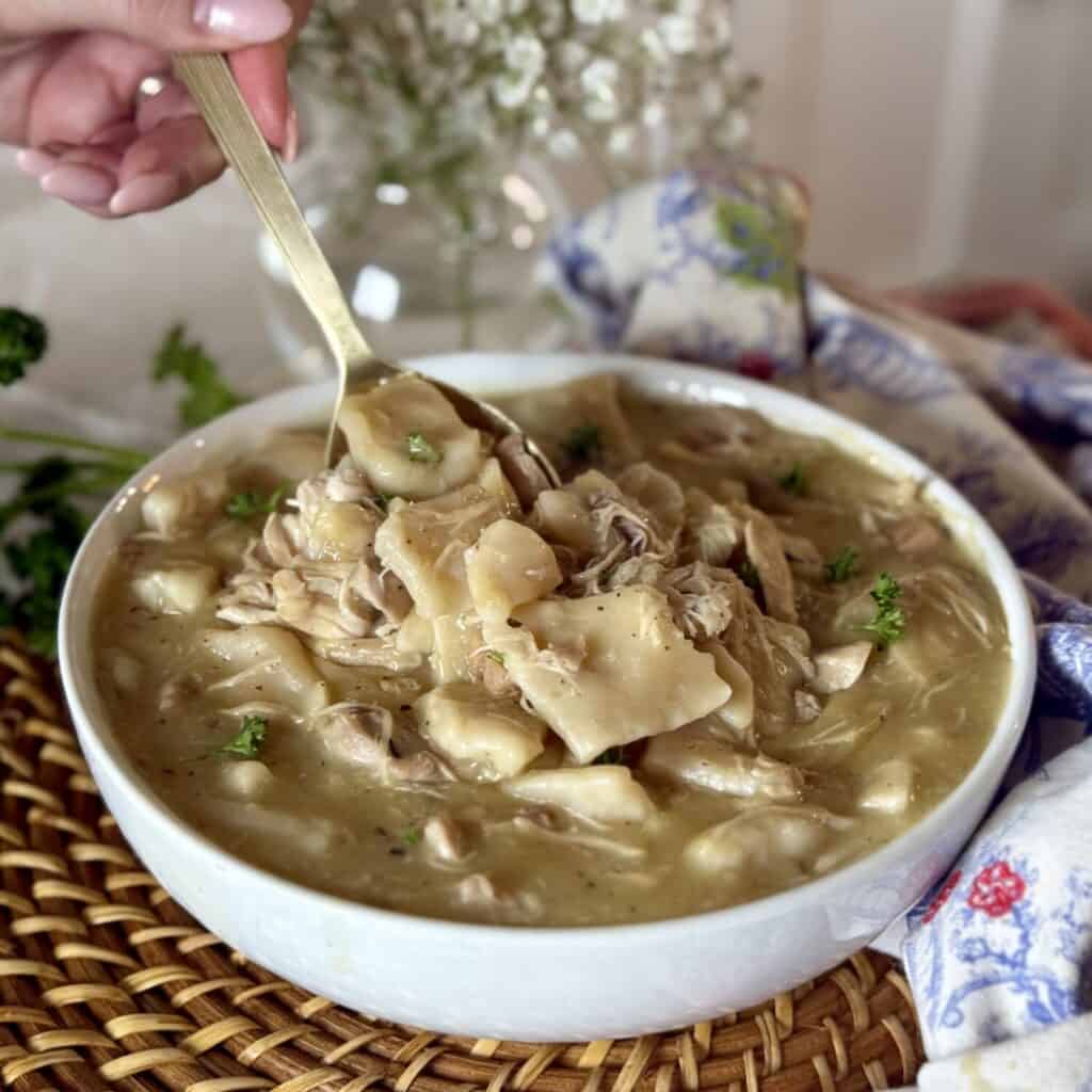 A bowl of Chicken and Dumplings with Canned Biscuits.