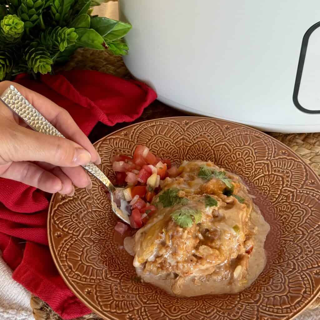 A bowl of chicken and rice.