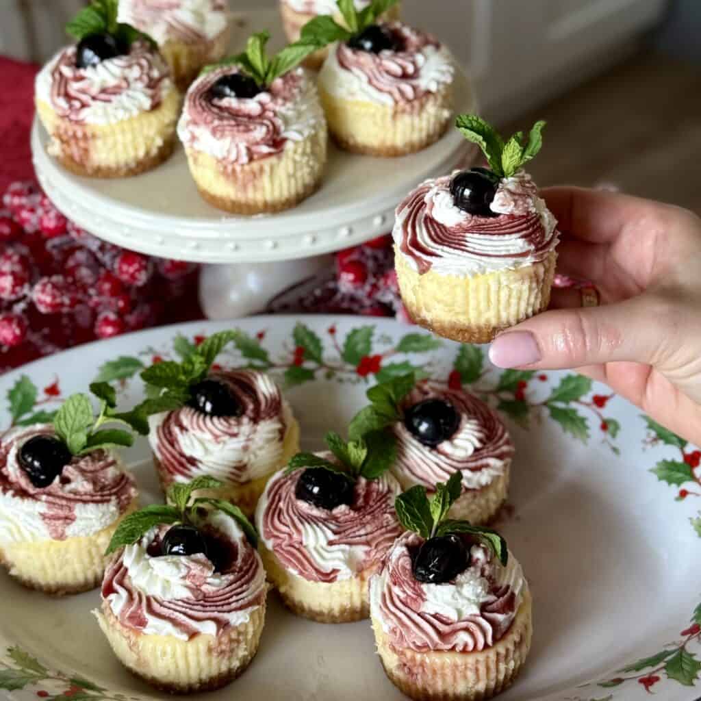 A plate of Mini Cherry Cheesecakes.