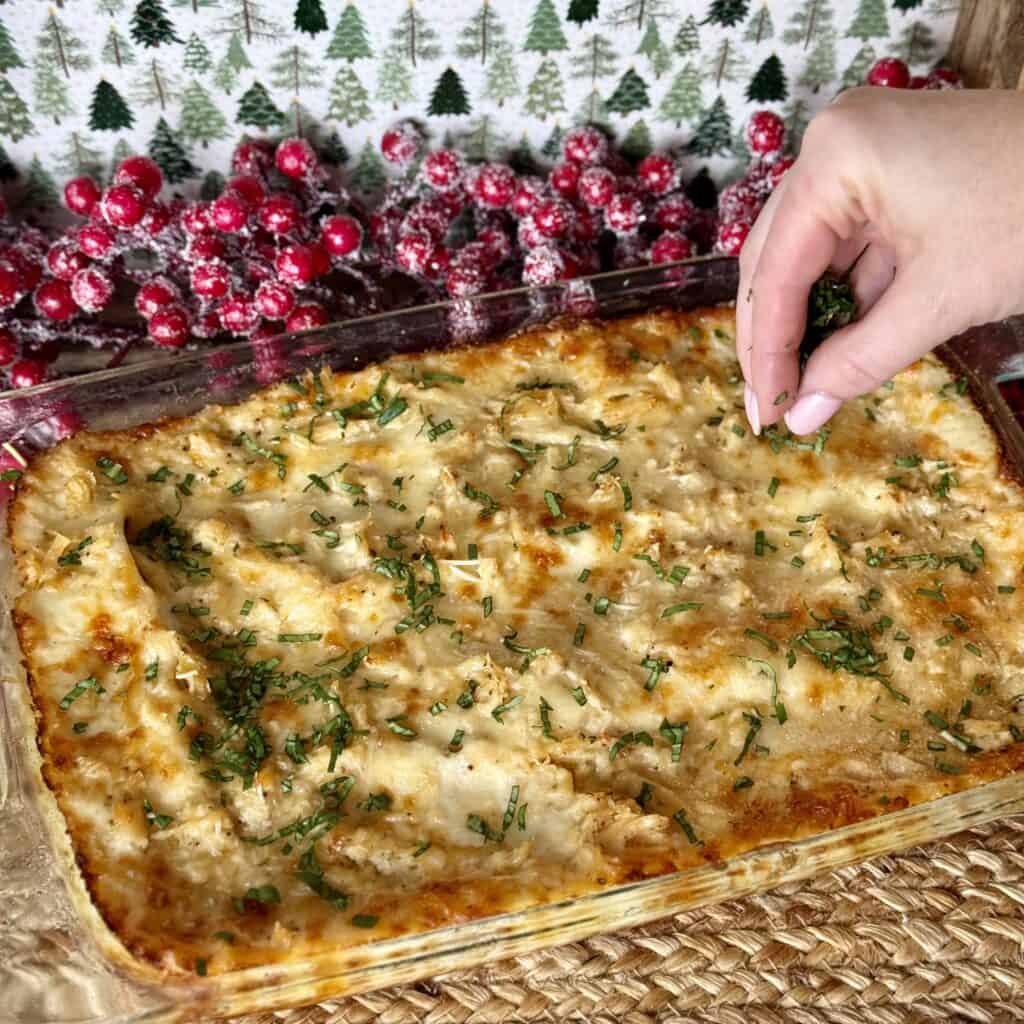 A pan of Chicken Alfredo Lasagna.