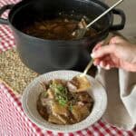 A plate of beef and dumpling.