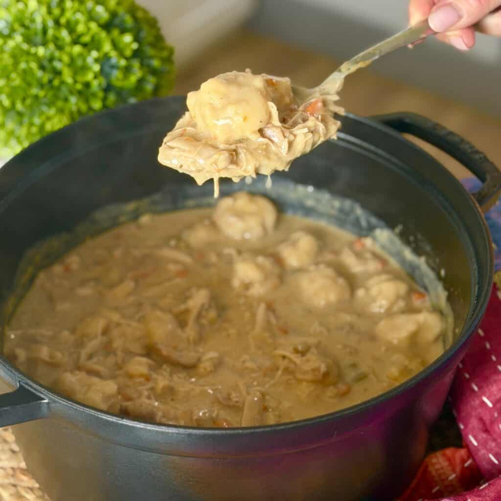 A bowl of chicken and dumpling soup.