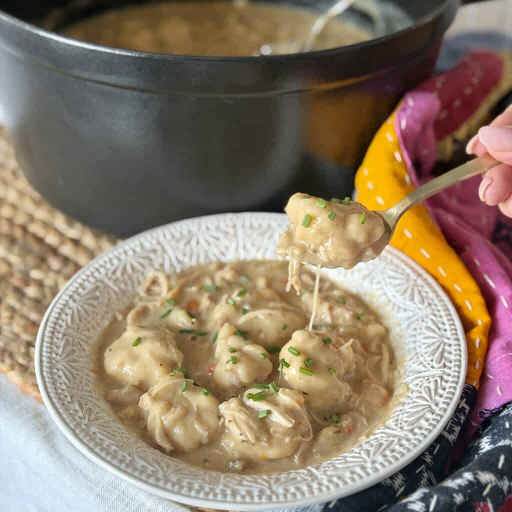 A bowl of chicken and dumpling soup.